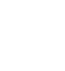 White Logo